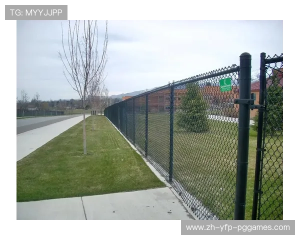 足球球网更换是否影响比赛场地规范性与球网弹性响应程度